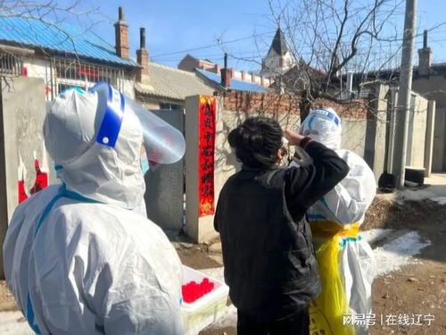 金州疫情(金州疫情期间卢书记)