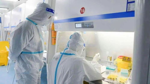 南京增1例核酸初筛阳性人员(南京核检累计检出阳性233人) 南京增1例核酸初筛阳性人员(南京核检累计检出阳性233人)