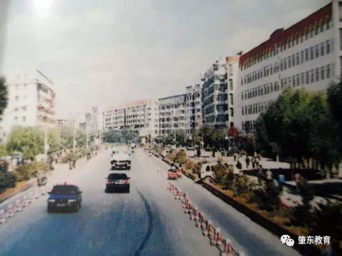肇东市:肇东市面积