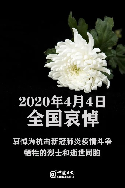 【全国哀悼日肺炎,4·4全国哀悼日】