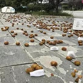 【天津一地调整为高风险,天津一地调整为高风险地区】