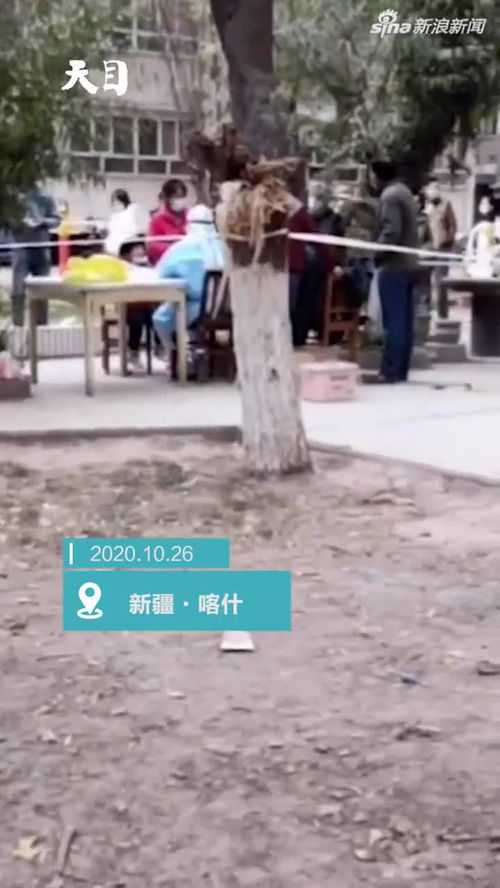 喀什疫情/喀什疫情之后的变化 喀什疫情/喀什疫情之后的变化