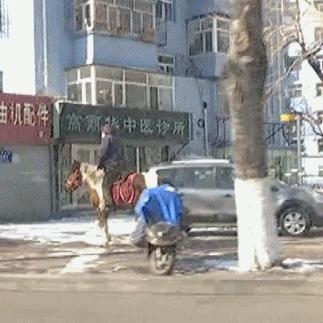 【黑龙江要求劝返来自北京车辆,黑龙江返京人员最新政策】