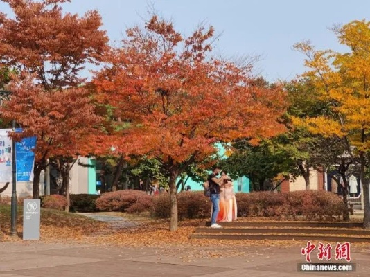 韩国11月起分阶段恢复日常生活（2021韩国五年多次往返什么时候恢复）