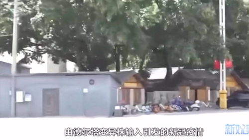 【成都疫情源头终于找到了/成都 疫情 来源】