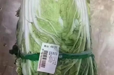 疫情期间一颗白菜近50元?西宁回应/疫情期间大白菜50一颗被罚 疫情期间一颗白菜近50元?西宁回应/疫情期间大白菜50一颗被罚