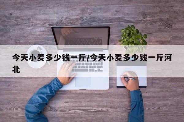 今天小麦多少钱一斤/今天小麦多少钱一斤河北