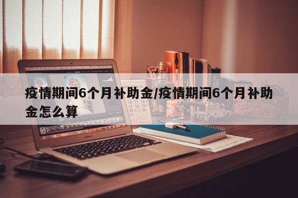疫情期间6个月补助金/疫情期间6个月补助金怎么算