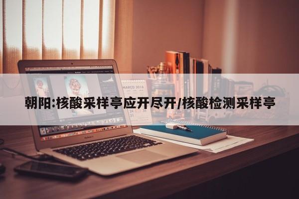 朝阳:核酸采样亭应开尽开/核酸检测采样亭