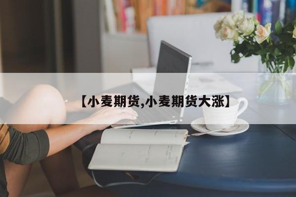 【小麦期货,小麦期货大涨】