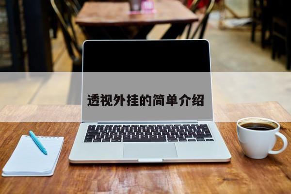 透视外挂的简单介绍