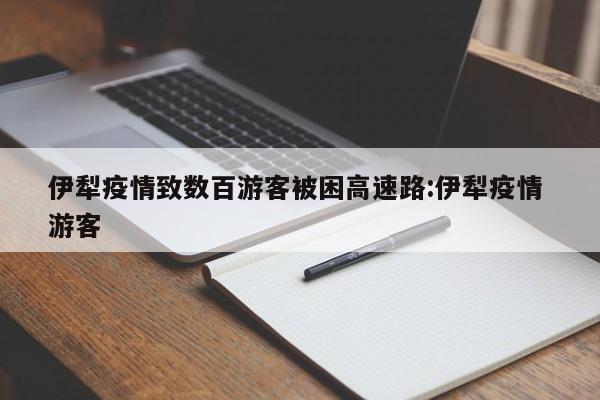 伊犁疫情致数百游客被困高速路:伊犁疫情 游客