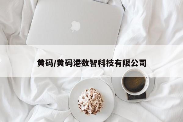黄码/黄码港数智科技有限公司