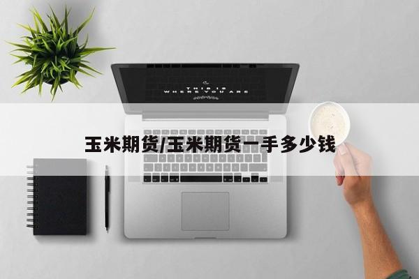 玉米期货/玉米期货一手多少钱