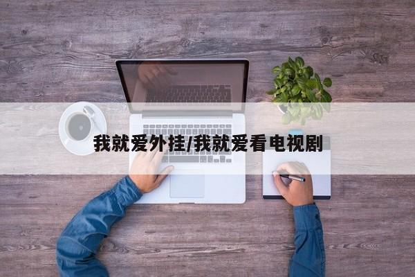 我就爱外挂/我就爱看电视剧