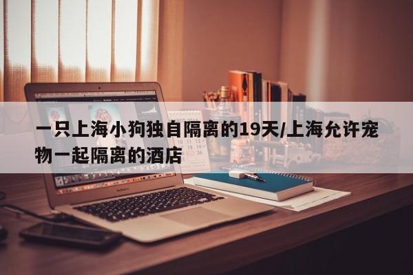 一只上海小狗独自隔离的19天/上海允许宠物一起隔离的酒店