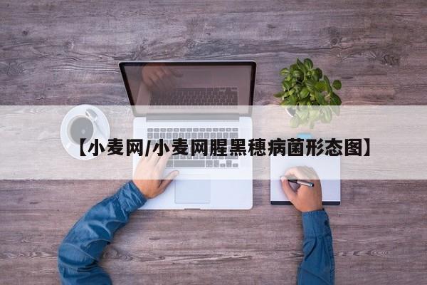 【小麦网/小麦网腥黑穗病菌形态图】
