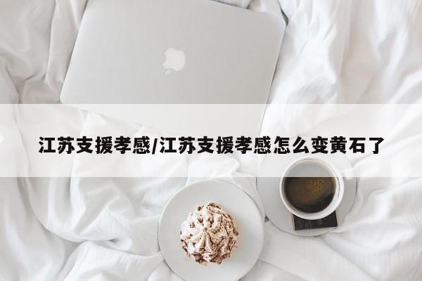 江苏支援孝感/江苏支援孝感怎么变黄石了