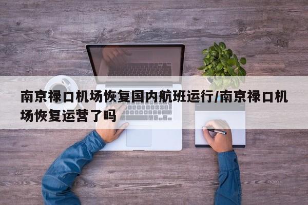 南京禄口机场恢复国内航班运行/南京禄口机场恢复运营了吗