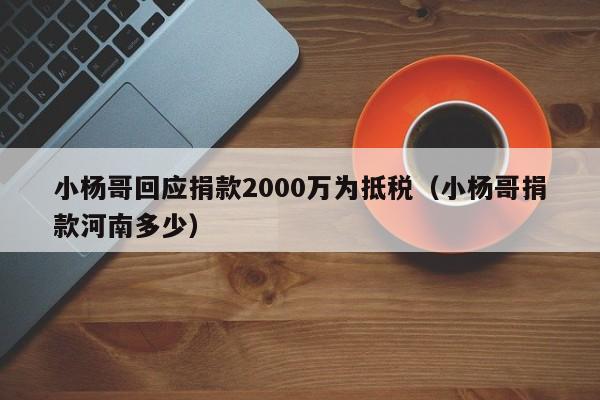 小杨哥回应捐款2000万为抵税(小杨哥捐款河南多少)