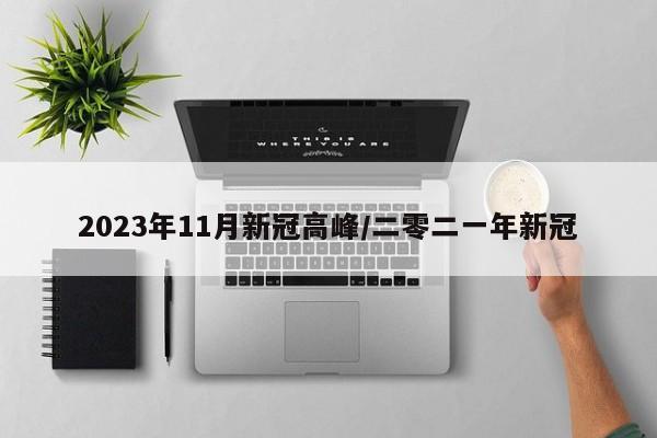 2023年11月新冠高峰/二零二一年新冠