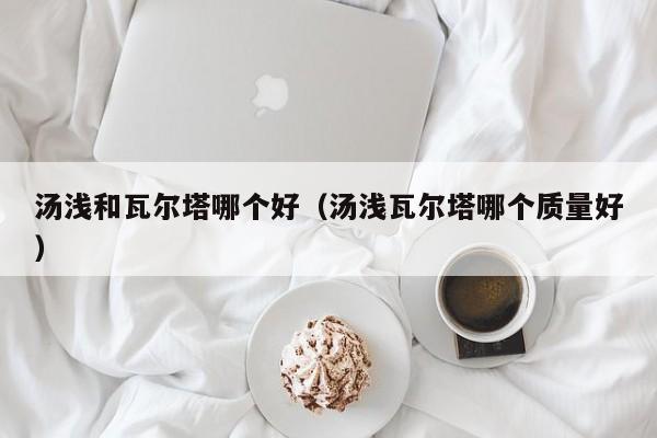 汤浅和瓦尔塔哪个好（汤浅瓦尔塔哪个质量好）